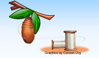 silk-made-from-cocoon.jpg